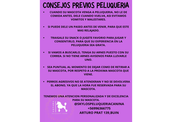 Second slide